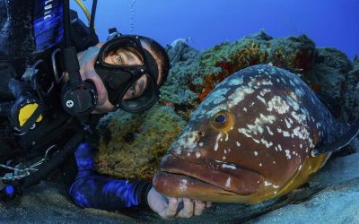 Porto Santo capital of underwater photography